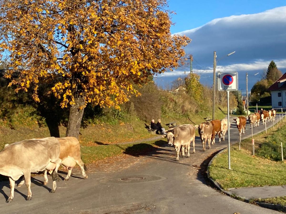 Im-Oberland - Tal - Daire Bad Kohlgrub Dış mekan fotoğraf
