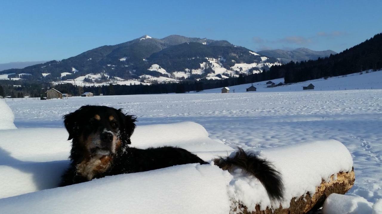 Im-Oberland - Tal - Daire Bad Kohlgrub Dış mekan fotoğraf
