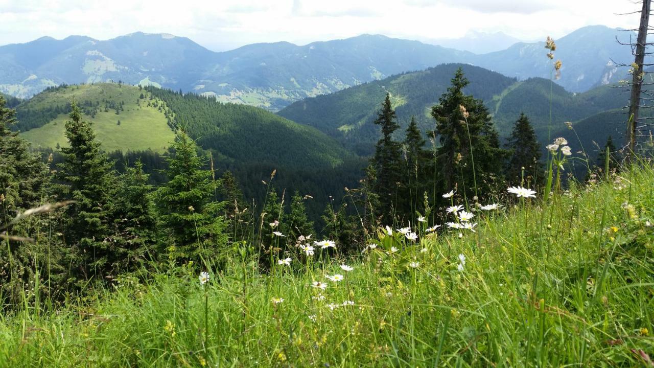 Im-Oberland - Tal - Daire Bad Kohlgrub Dış mekan fotoğraf